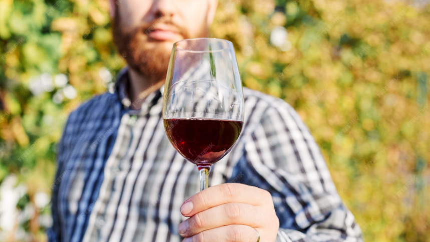 Vinař ve vinici — spolupráce s českými vinaři